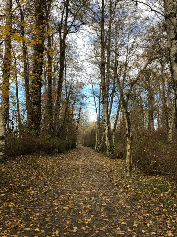 10 Simple Strategies to Promote&nbsp;Wellbeing